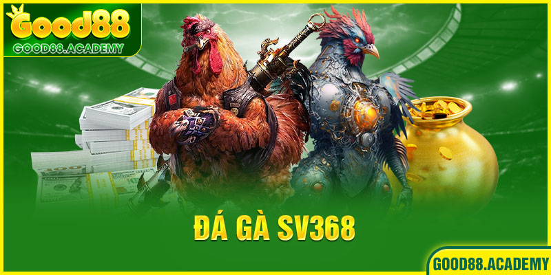 đá gà sv368