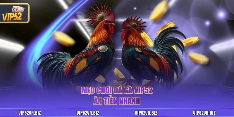 Mẹo chơi đá gà VIP52 ăn tiền nhanh