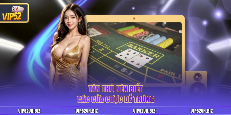 Tân thủ nên biết các cửa cược dễ trúng